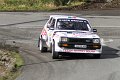 Monaghan_Rally_April_21st_2013 (30)